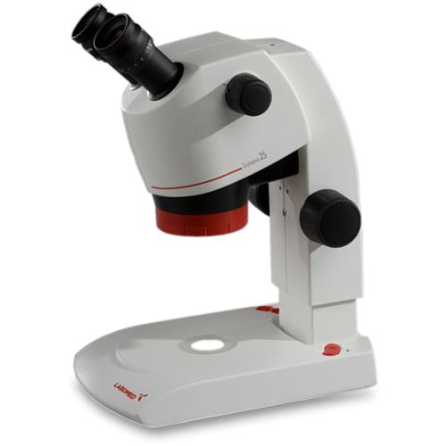Student Grade Dissecting Microscope - MicroscopeHub