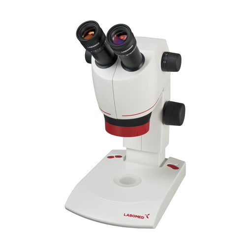 Student Grade Dissecting Microscope - MicroscopeHub