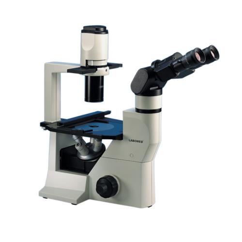 Inverted Phase Tissue Culture Microscope - MicroscopeHub